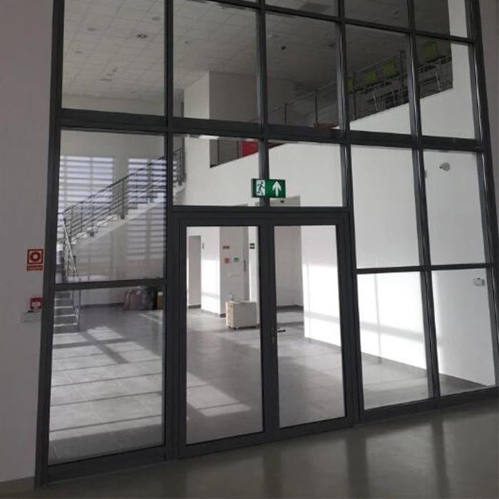 Curtain Wall Door